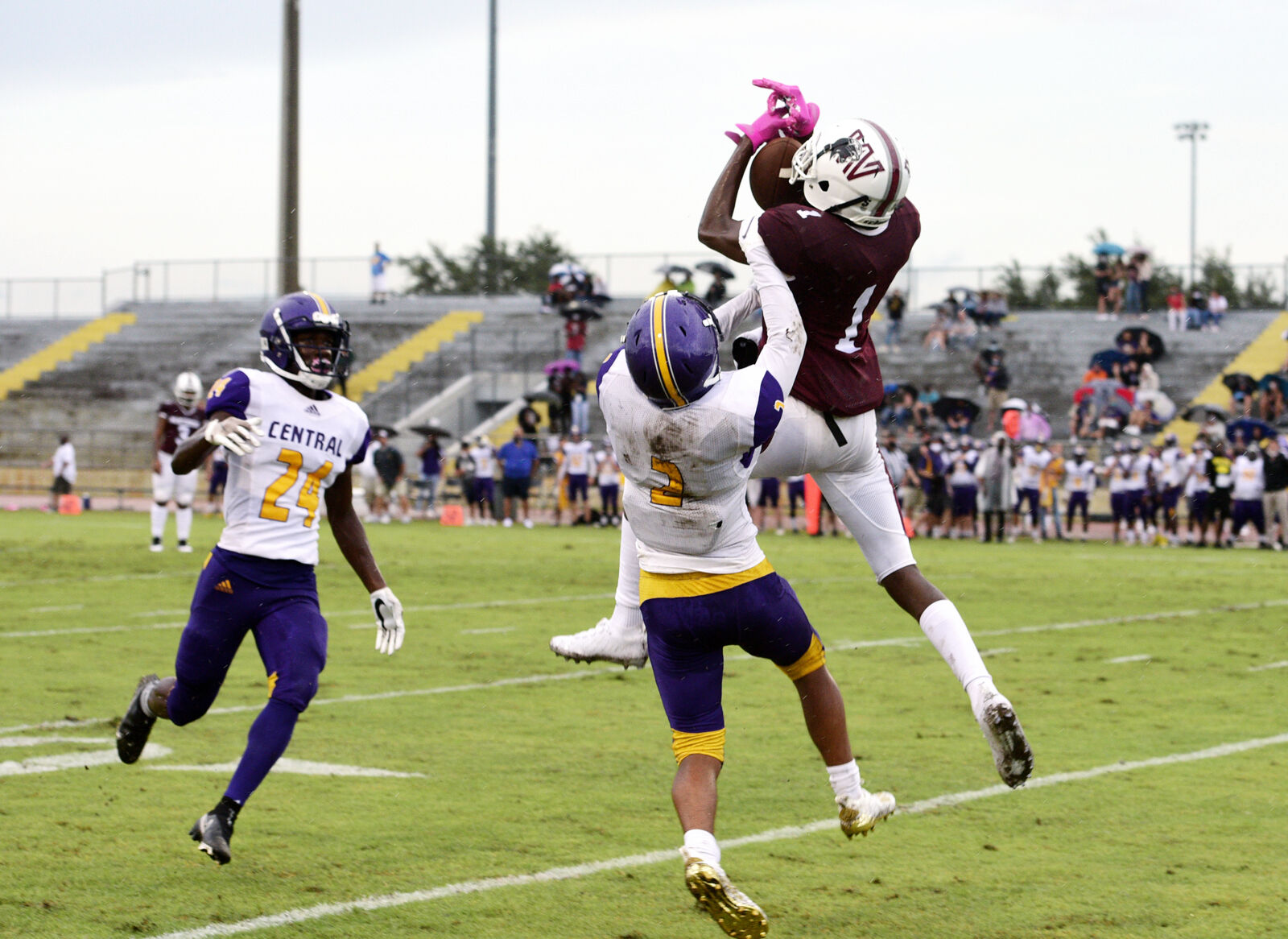 Panthers take on the Cobras